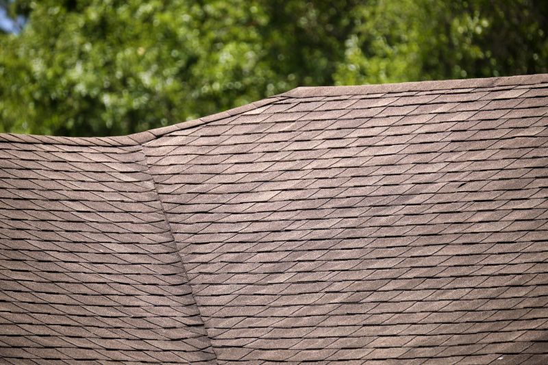 Specialty Roofing Providers